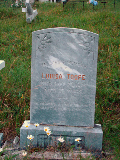 Louisa Toop