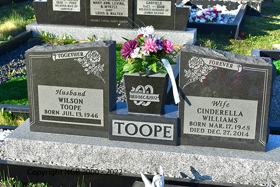 Cinderella Williams Toope