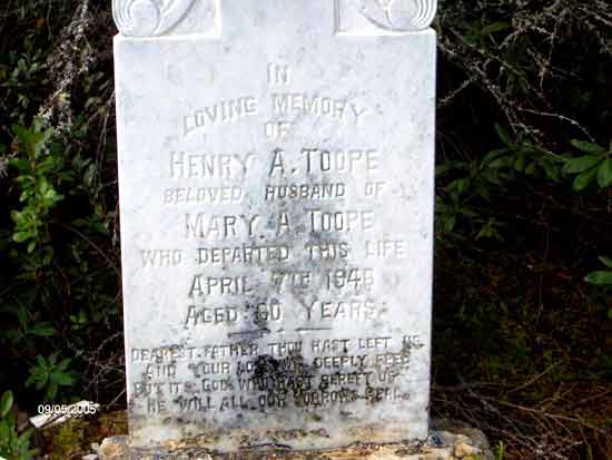 Henry A. Toope