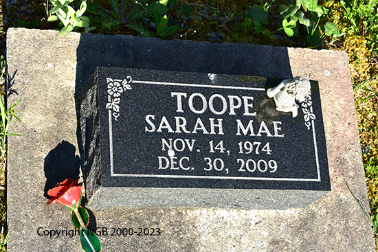 Sarah Mae Toope
