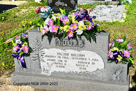 Tolson William Toope