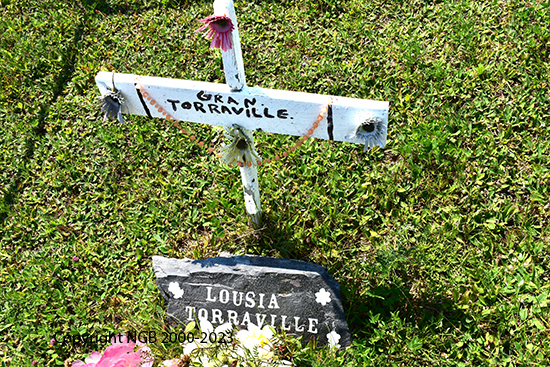 Louisa Torraville