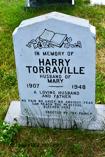 Harry Torraville