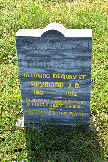 Raymond J. D. Torraville