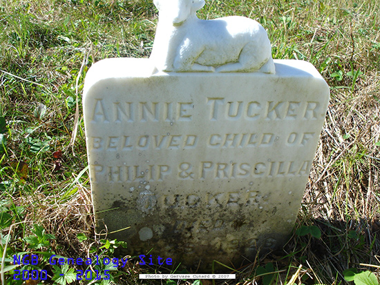 Annie Tucker