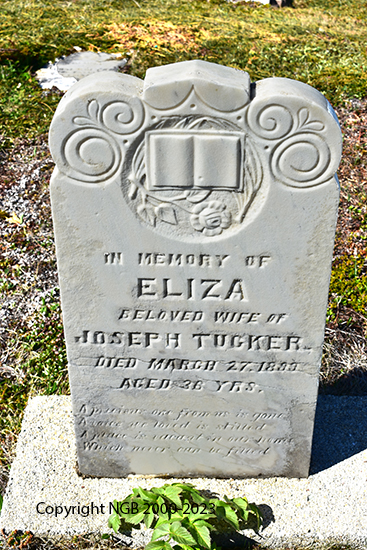 Eliza Tucker