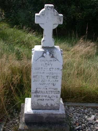 Henry & Susanna TUCKER