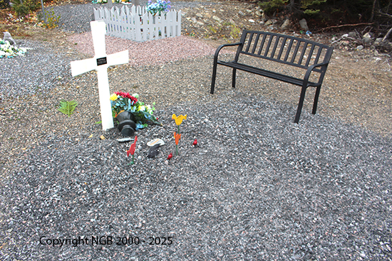 Alexander Gordon Turnbull Jr.