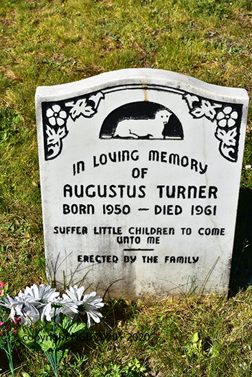 Augustus Turner