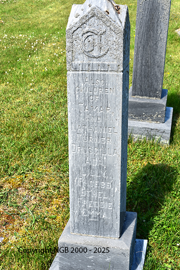 Children of Tamar & Nathaniel Turner