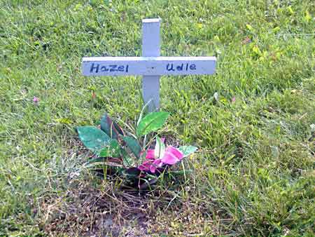 Hazel UDLE