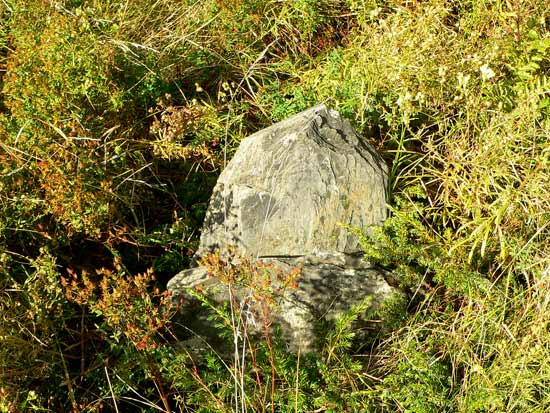 Frances & George Daw