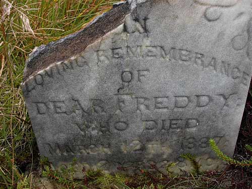 Freddy