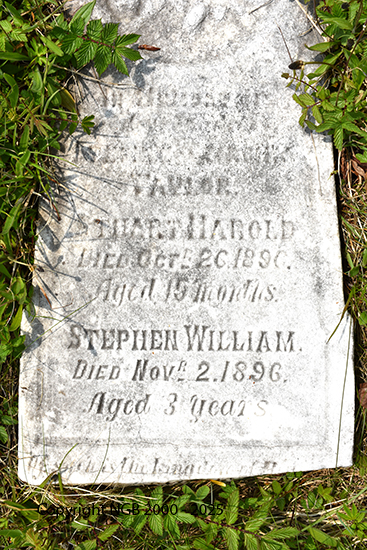 Stewart Harold & Stephen William Unknown