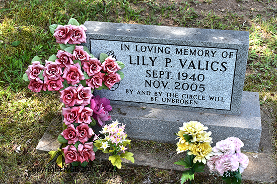 Lily P. Valics