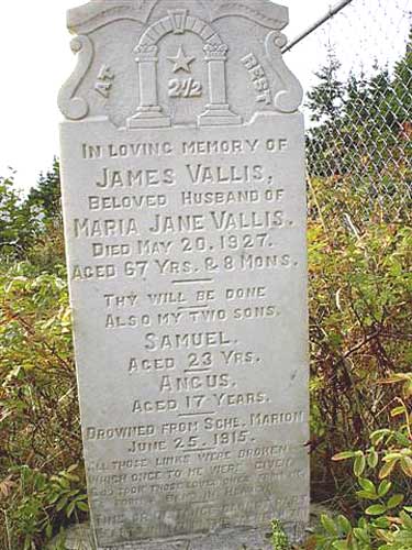 James & Samuel & Angus Vallis