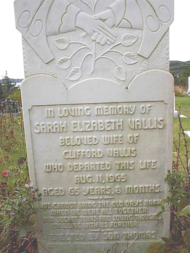 Sarah Elizabeth Vallis