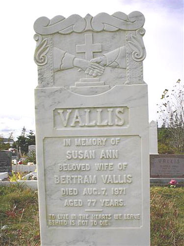 Susan Ann Vallis