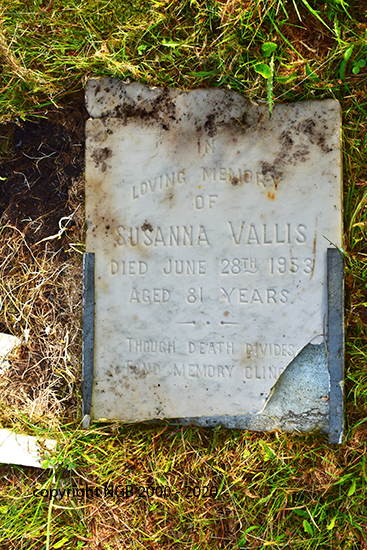 Susanna Vallis