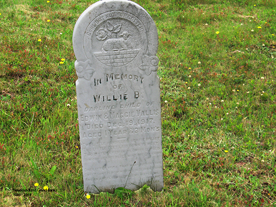 Willie B, Vallis