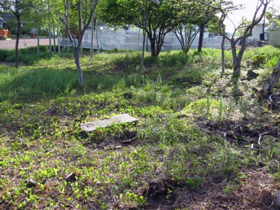 View of Cemetery