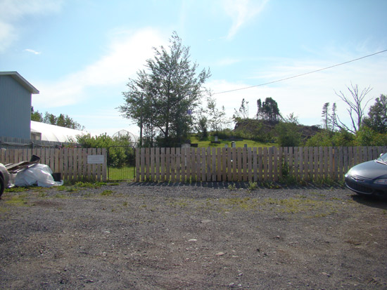 View of Cemetery From Gate