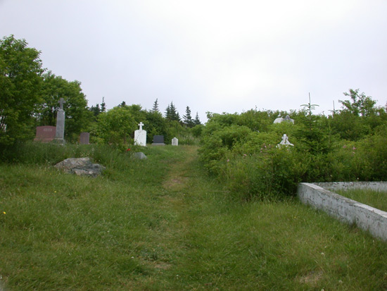 View #2 of the Cemetery