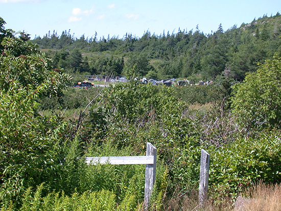 View of Cemetery