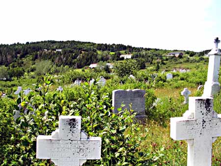 William and Thomas REES