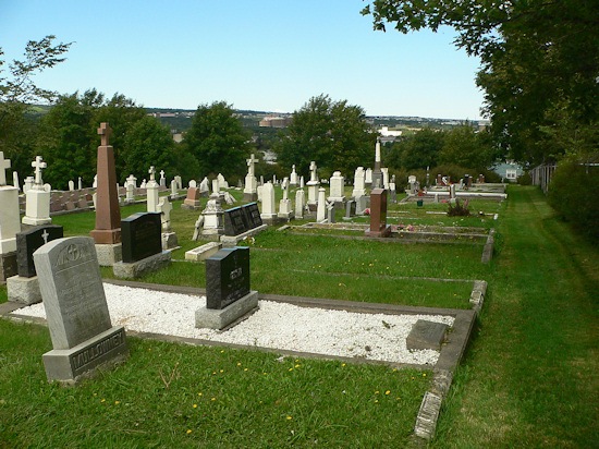 Belvedere RC Cemetery - Section VIII