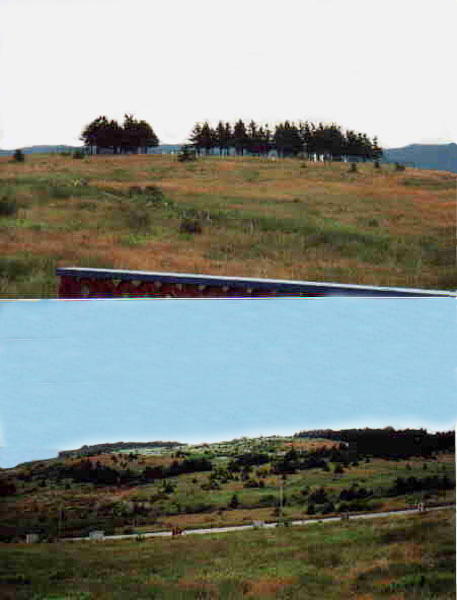 Old and New Cemetery