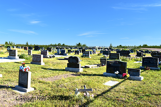 View of Cemetery