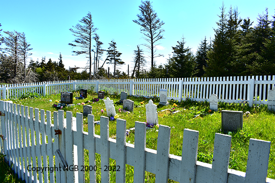 View of Cemetery