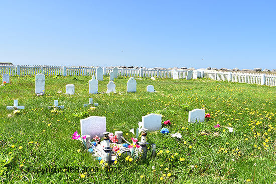View of Cemetery