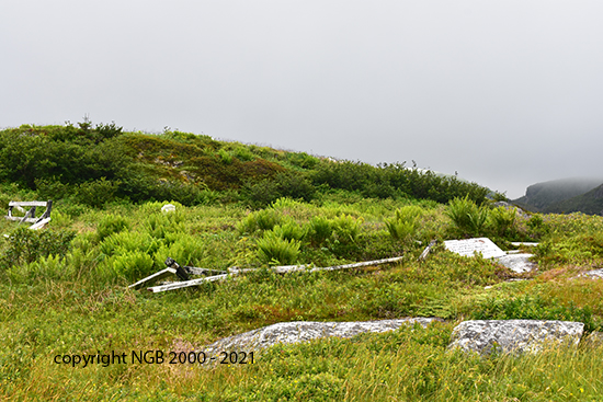 View of Cemetery Area