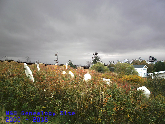 View of Cemetery