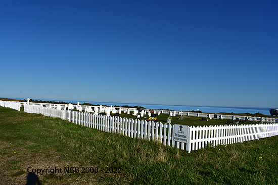 View of Cemetery Sign