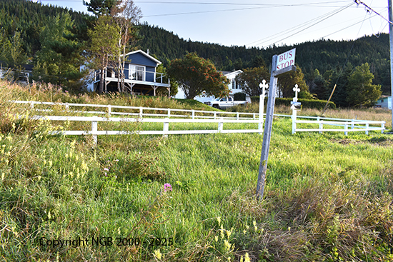 View of Cemetery