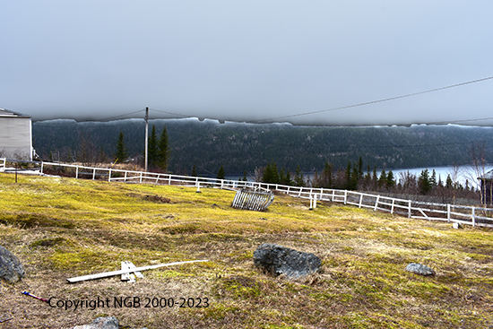 View of Cemetery