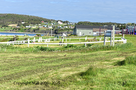 View of Cemetery