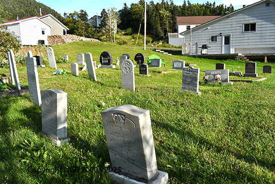 View in Cemetery