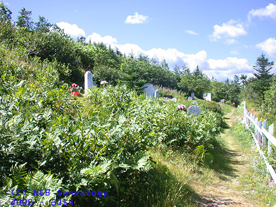 View of Cemetery