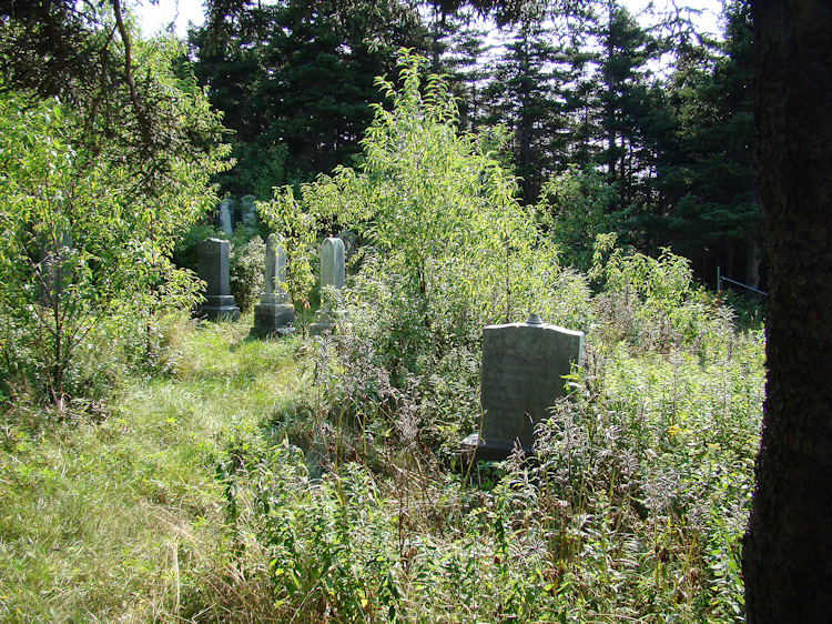 Old UC Cemetery - Bareneed