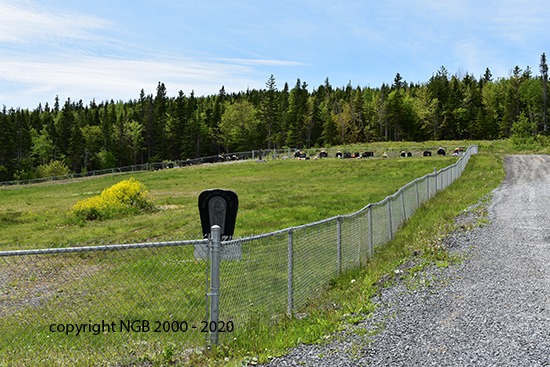 View of Cemetery