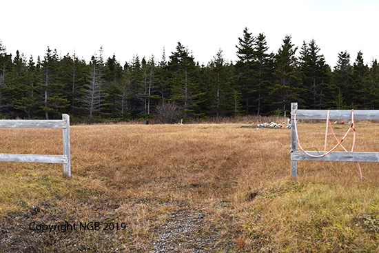 View of Cemetery