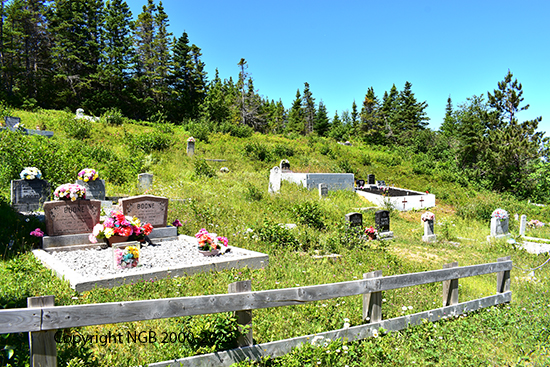 View of Cemetery