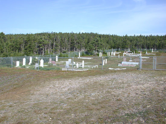 Overall View of Cemetery