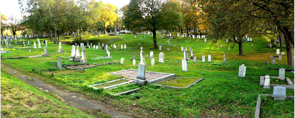 Forest Road Anglican Cemetery - Section DG