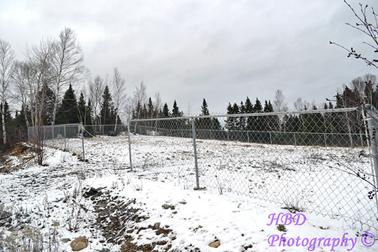 Winter View of Cemetery