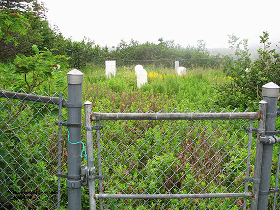 View of Gate and Cemetery
